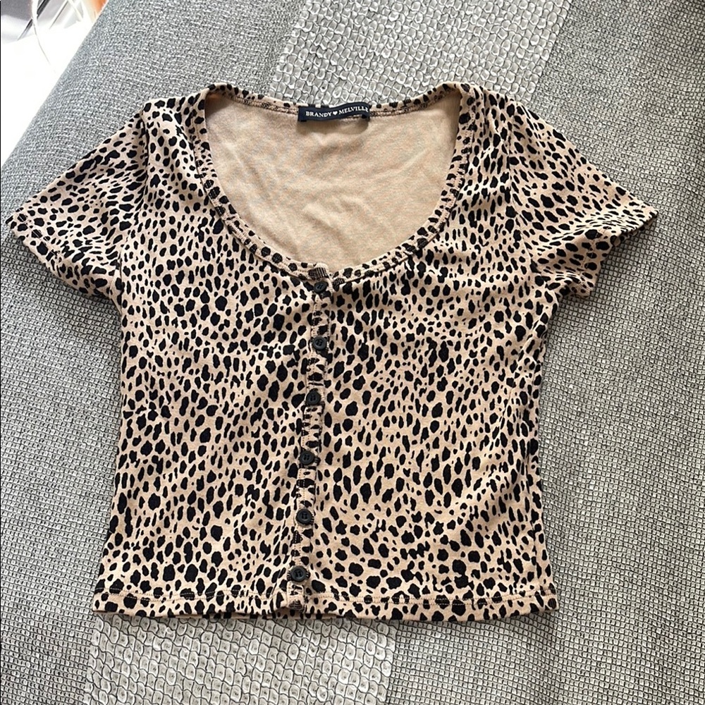 Brandy Melville Brown and Tan Leopard Print Cap Sleeve Crop Top